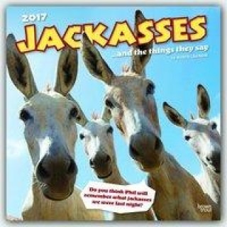 Jackasses 2017 Calendar