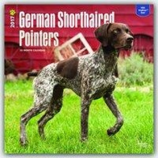 German Shorthaired Pointers 2017 Calendar
