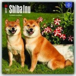 Shiba Inu 2017 Calendar