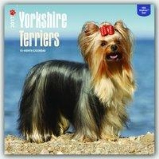 Yorkshire Terriers 2017 Calendar
