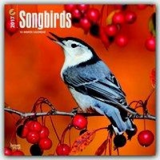 Songbirds 2017 Calendar