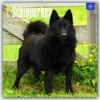 Schipperkes 2017 Calendar