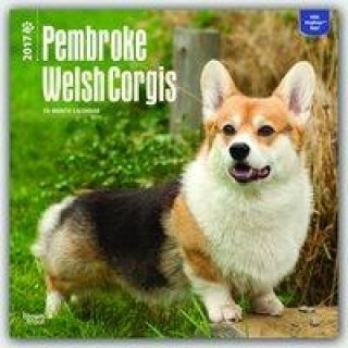 Welsh Corgis, Pembroke 2017 Calendar