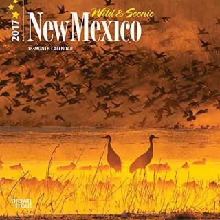 New Mexico, Wild & Scenic 2017 Calendar