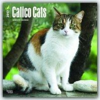 Calico Cats 2017 Calendar