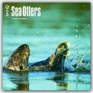Sea Otters 2017 Calendar