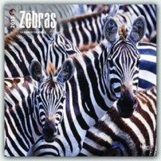 Zebras 2017 Calendar
