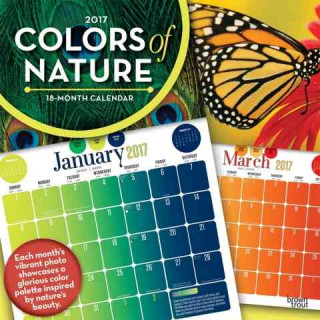 Captured Colors 2017 Calendar