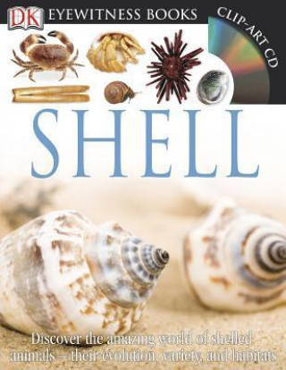 DK Eyewitness Books: Shell