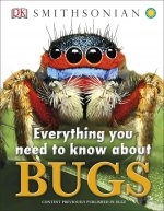 Everything You Need to Know About Bugs
