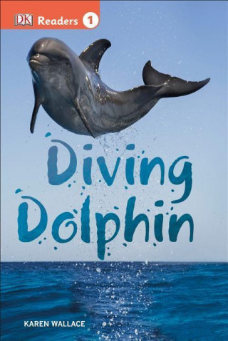 Diving Dolphin