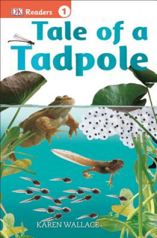 Tale of a Tadpole