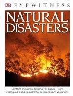 DK EYEWITNESS BOOKS NATURAL DISASTERS