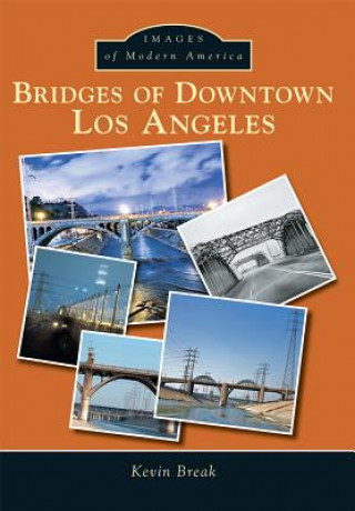 Bridges of Downtown Los Angeles