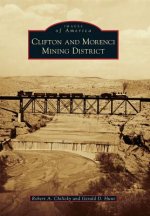 Clifton and Morenci Mining District