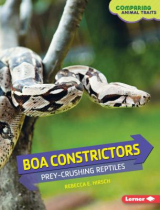 Boa Constrictors