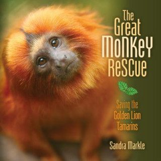 The Great Monkey Rescue