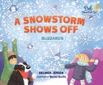 Snowstorm Shows Off