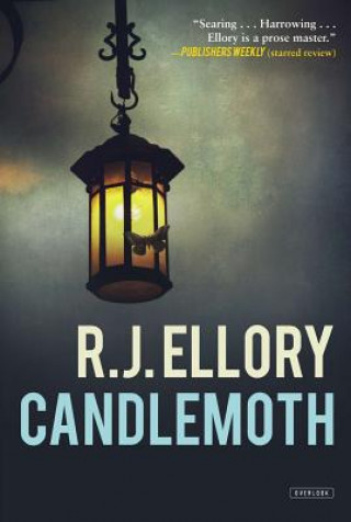 Candlemoth