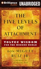 The Five Levels of Attachment