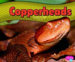 Copperheads