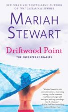 Driftwood Point