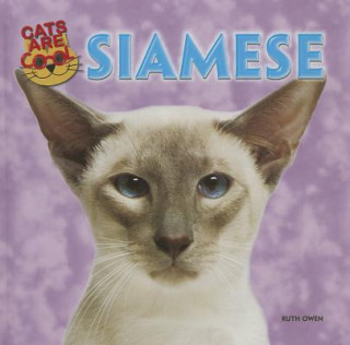 Siamese