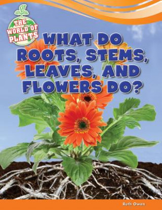 What Do Roots, Stems, Leaves, and Flowers Do?