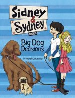 Big Dog Decisions