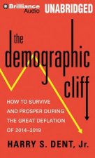 The Demographic Cliff