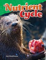 Nutrient Cycle