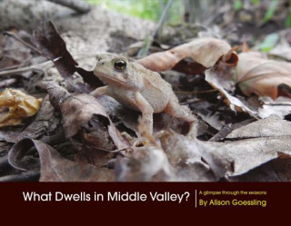 What Dwells in Middle Valley?