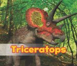 Triceratops