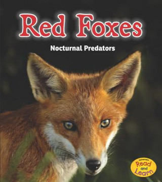 Red Foxes