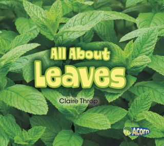 All About Leaves