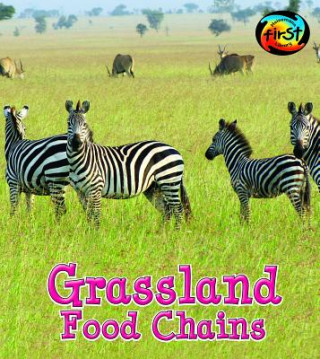 Grassland Food Chains