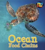 Ocean Food Chains