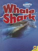 Whale Shark