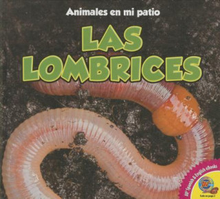 Las lombrices / Earthworms