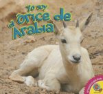 El órice de Arabia / The Arabian Oryx