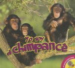 El chimpancé / Chimp