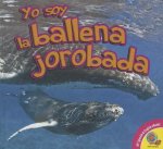 La ballena jorobada / Humpback Whale