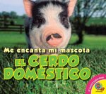 El cerdo doméstico / The Domestic Pig