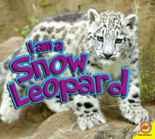 Snow Leopard
