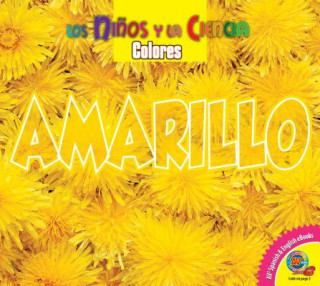 Amarillo / Yellow