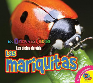 Las mariquitas / Ladybugs