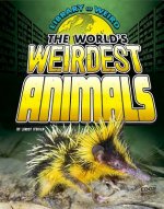 The World's Weirdest Animals
