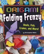 Origami Folding Frenzy