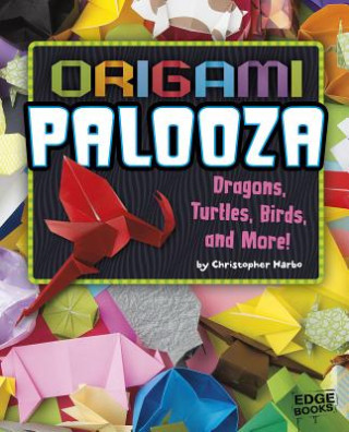 Origami Palooza