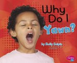 Why Do I Yawn?